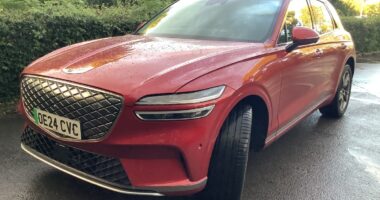 Musings for the quilted generation: Genesis Electrified GV70