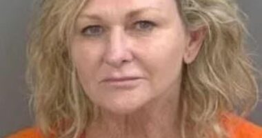 Naples mayor Teresa Heitmann has been arrested for driving under the influence after she allegedly drove over someone's mailbox