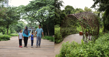 New Bidadari Park inspired by Hundred Acre Wood has scenic lake, birdwatching spots & heritage trail - Mothership.SG