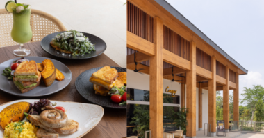 New pet-friendly restaurant with view of Jurong Lake Gardens opens - Mothership.SG