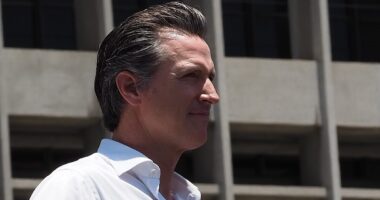 Newsom Would Back Mortgages For Aliens If Not For The Election