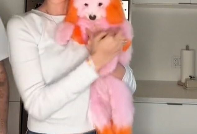 Nicola Peltz Beckham has completely shocked fans on Saturday as she dyed her pet pooch bright pink and orange in a new TikTok video
