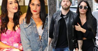 Nikki Garcia's twin, Brie, told her to leave Artem Chigvintsev: source