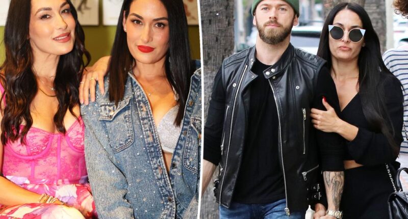 Nikki Garcia's twin, Brie, told her to leave Artem Chigvintsev: source
