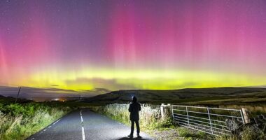 Dazzling hues of pink and green from the Northern Lights delighted sky gazers across the UK. Pictured: The phenomenon in Carron Valley Reservoir in Stirlingshire, Scotland