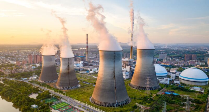 Nvidia’s stock is no longer the S&P 500’s top gainer this year. Here’s what is.