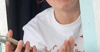 In a video posted on TikTok , one unlucky fan wept as she said: 'Seven hours I queued for the tickets on two devices and they both said "Oh, due to inactivity we cant process your order".'