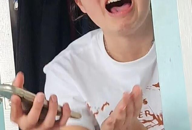 In a video posted on TikTok , one unlucky fan wept as she said: 'Seven hours I queued for the tickets on two devices and they both said "Oh, due to inactivity we cant process your order".'