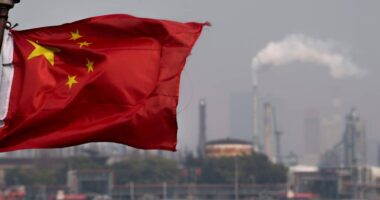 Oil ends higher after back-to-back losses as China announces stimulus measures