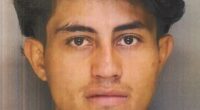 Dimas Gabriel Yanez, a 26-year-old migrant who illegally entered the country and had been previously deported, has been arrested for stabbing a 14-year-old Illinois girl at her brother's baseball gam