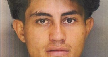 Dimas Gabriel Yanez, a 26-year-old migrant who illegally entered the country and had been previously deported, has been arrested for stabbing a 14-year-old Illinois girl at her brother's baseball gam