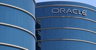 Oracle gives rosy growth forecast, sending the stock soaring further