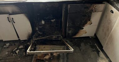 Turning on your dishwasher at night is a common mistake among households worldwide, but it poses the risk of housefires. This is what happened to an American family whose dishwasher caught alight while they were sleeping (pictured)