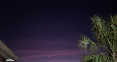 Out of Control: Stealing...Palmetto Berries – HotAir