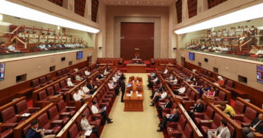 Over 80% of S'poreans satisfied with how democracy works in S'pore: IPS survey - Mothership.SG