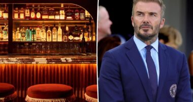 Partygoer booted from Mulberry after trying to snap a shot of David Beckham
