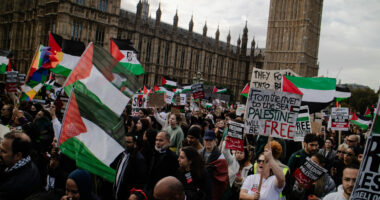Police Admit Soft Touch on Pro-Palestinian Protestors.