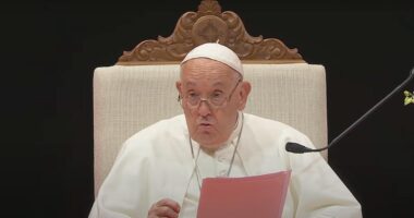 Pope Francis praises 'positive inclusiveness' in S'pore, warns against over-focus on pragmatism & merit - Mothership.SG