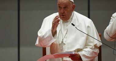 Pope Francis has been slammed for his comments about couples who choose to have pets instead of kids - with many slamming the religious leader for 'leading an organisations of celibates' yet 'telling others to have more'