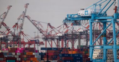 Ports strike could have $4 billion daily impact, but these container stocks are well positioned