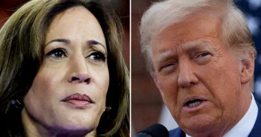 Presidential election 2024: Trump leads Kamala Harris in Arizona, Georgia and North Carolina