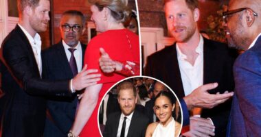 Prince Harry attends starry New York dinner sans Meghan Markle 
