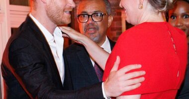 Prince Harry was pictured warmly embracing Queen Mathilde of Belgium at an event in New York on Sunday