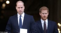 Prince William and Prince Harry pictured together after attending the Grenfell Tower National Memorial Service back in 2017