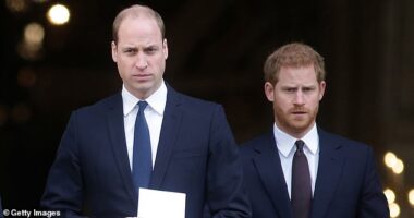 Prince William and Prince Harry pictured together after attending the Grenfell Tower National Memorial Service back in 2017