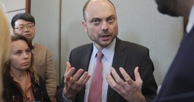 Vladimir Kara-Murza, the recently freed British citizen and Russian opposition politician, speaks after a news conference organised by the Global Magnitsky Justice Campaign and the Centre for Finance and Security at RUSI, in London, Friday, Sept. 20, 2024