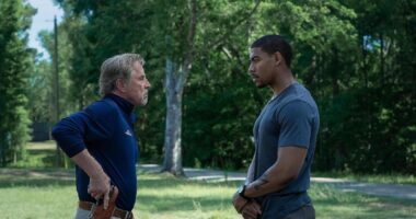 'Rebel Ridge' Takes the Spotlight with Massive Viewership and Rave Reviews on Rotten Tomatoes
