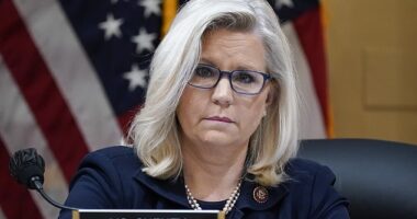 Former Republican Rep. Liz Cheney announced that she is backing Vice President Kamala Harris over Donald Trump
