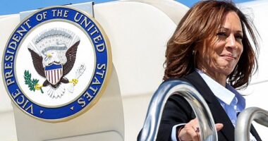 Democratic presidential nominee and U.S. Vice President Kamala Harris boards Air Force 2