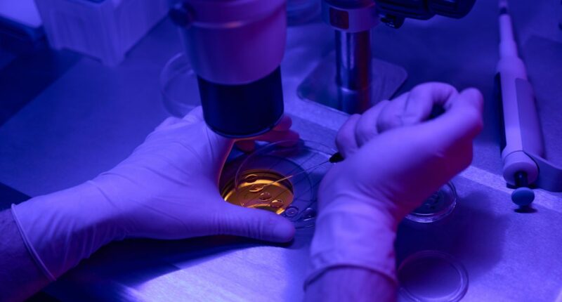 IVF