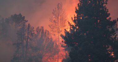 Retire out West? No, thanks. Wildfires kill 10,000 seniors prematurely every year.