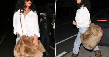 Rihanna brings comically oversized fur Saint Laurent purse to dinner