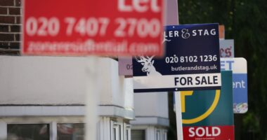 Rupert Murdoch’s REA Group mulls bid for U.K. property listing giant Rightmove