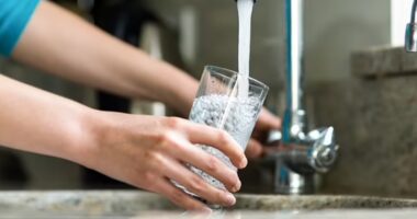STUDY: Fluoride Impacting Intelligence In Kids.