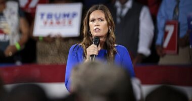 Sarah Huckabee Sanders: 'My kids keep me humble. Unfortunately, Kamala Harris doesn't have anything keeping her humble.'