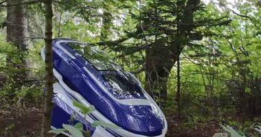 The first use of Sarco capsule took place in the middle of the forest, according to the creators of the device