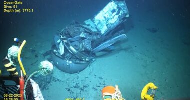 An astrophysicist analyzed the newly released footage of OceanGate's Titan wreck on the seafloor, speculating that the submersible did not implode from the center as many have suggested