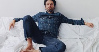 Sebastian Stan, 42, reminisced about falling in love for the first time during his time on Gossip Girl in a new interview with Variety