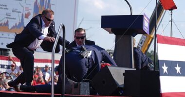 A bipartisan Senate probe into the Butler assassination attempt found failures at the rally were 'foreseeable' and 'preventable.' Pictured: Secret Service agents converge to cover Donald Trump at the rally on July 13, 2024