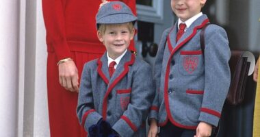 Jason Smith, a senior teacher at the prestigious Wetherby Prep School for Boys attended by Prince Harry and William has won almost £170,000 in compensation after he was sacked for falling asleep at his desk. Pictured: The young royals in 1989