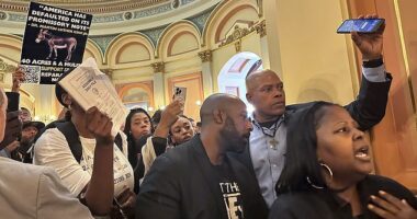 Protest erupted at the California state Capitol Saturday after two stalled reparations proposals for black residents were seemingly killed