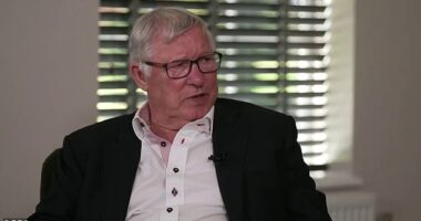 Manchester United icon Sir Alex Ferguson has admitted that he misses life as a manager