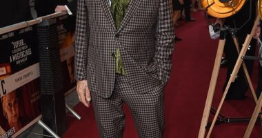 Sir Ian McKellen was in good spirits as he attended the premiere of The Critic in London on Monday