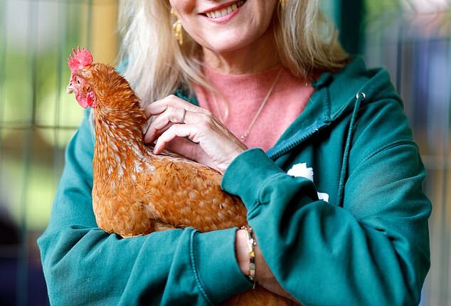Sophie, Duchess of Edinburgh, seemed to be having the time of her life on Wednesday as she visited an animal sanctuary in Surrey. Pictured with 'Stumpy' the rescue chicken