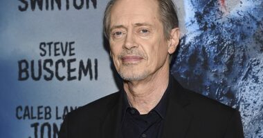Steve Buscemi, who is in the Irish capital to film the new season of the Netflix series 'Wednesday', found himself in the middle of a tense situation on Saturday night on the streets of Dublin