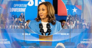 Supreme Court Mail-In Ballot Ruling Delivers Blow to Kamala in Critical Swing State.